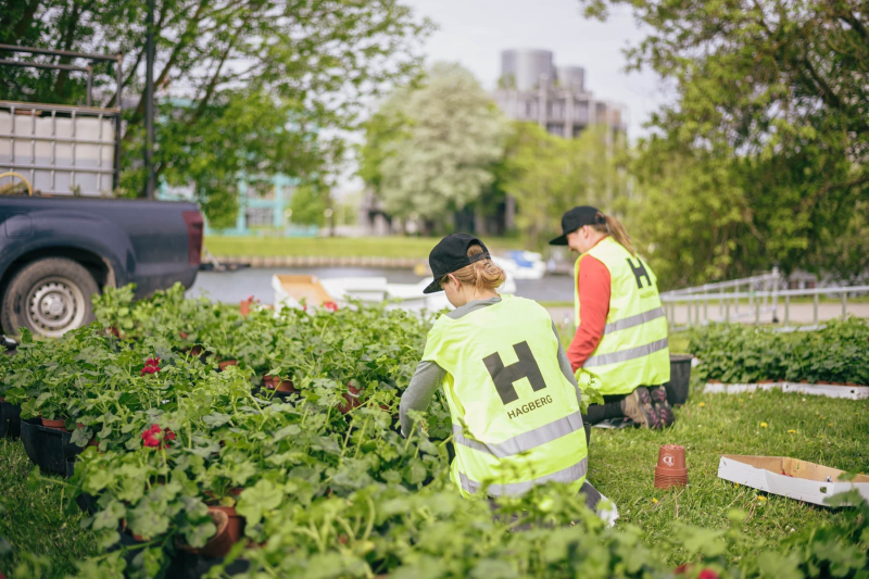 image image - 2025-11-21T151128.828.jpg